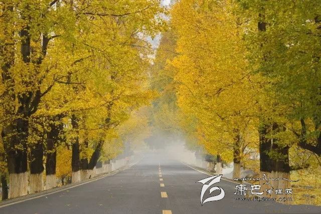 康定新都橋，有一條黃金大道通往夢中的天堂