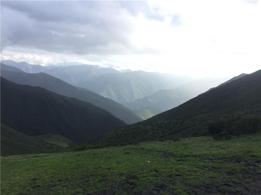 牧場遠(yuǎn)眺。.jpg