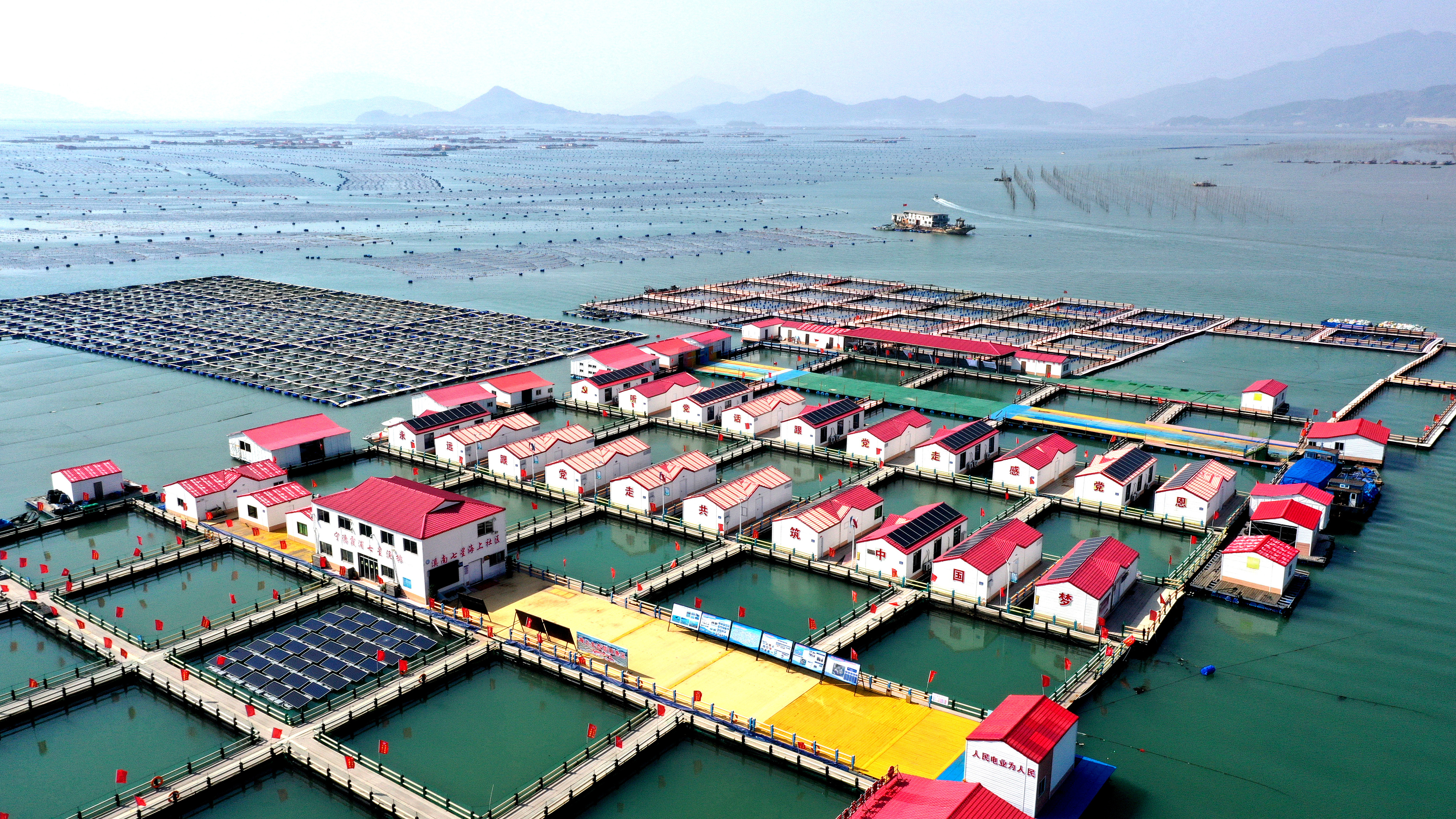 2024年3月20日，福建省寧德市，霞浦縣溪南鎮(zhèn)七星村漁排養(yǎng)殖示范區(qū)，漁民駕駛養(yǎng)殖船進(jìn)行海參養(yǎng)殖作業(yè)。