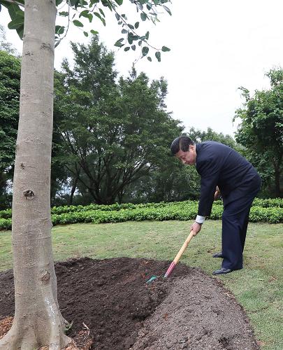 2012年12月7日至11日，習(xí)近平在廣東省考察工作。這是8日上午，習(xí)近平在深圳蓮花山公園種下一棵高山榕樹(shù)。新華社記者 蘭紅光 攝