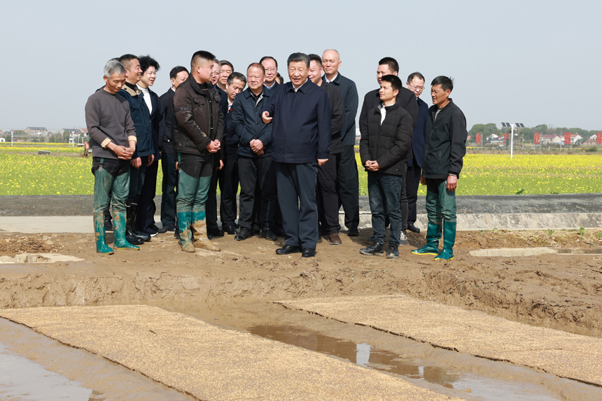 2024年3月18日至21日，中共中央總書記、國(guó)家主席、中央軍委主席習(xí)近平在湖南考察。這是19日下午，習(xí)近平在常德市鼎城區(qū)謝家鋪鎮(zhèn)港中坪村走進(jìn)田間，察看秧苗培育和春耕備耕進(jìn)展。新華社記者 王曄 攝